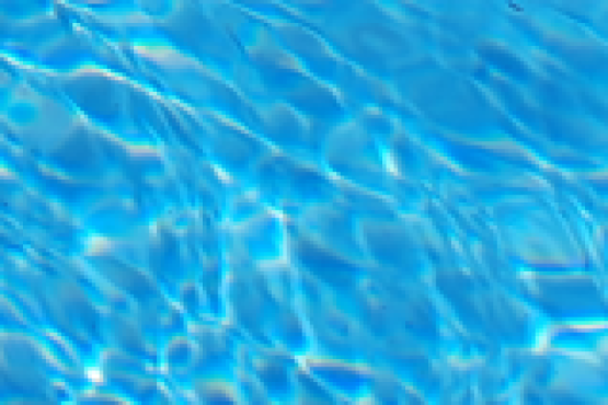 Bild zum Termin